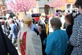 img_7731.jpg