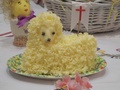 dscn2181.jpg
