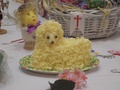 dscn2182.jpg