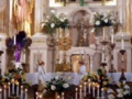 eucharistic_adoration__2_.jpg