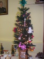 dscf5681.jpg
